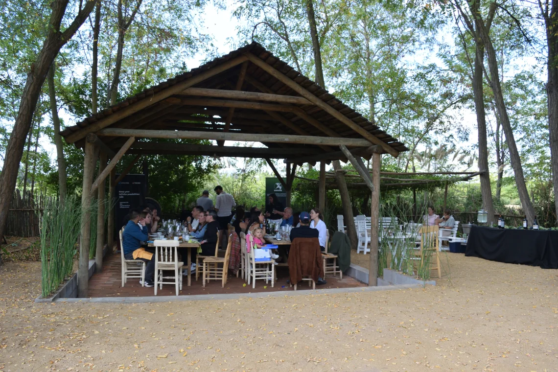 Offsite corporativo en las viñas de Santa Ana, Sexta Región